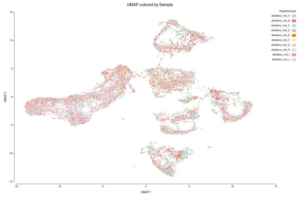 UMAP colored by sample